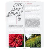 Plantenvademecum - voor wilde bijen, vlinders en biodiversiteit in tuinen