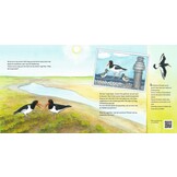 Waar ben jij geweest? - Wadvogels vertellen over hun trektochten