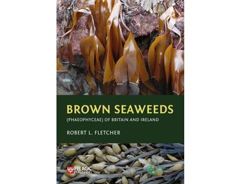 Brown Seaweeds (Phaeophyceae) of Britain and Ireland
