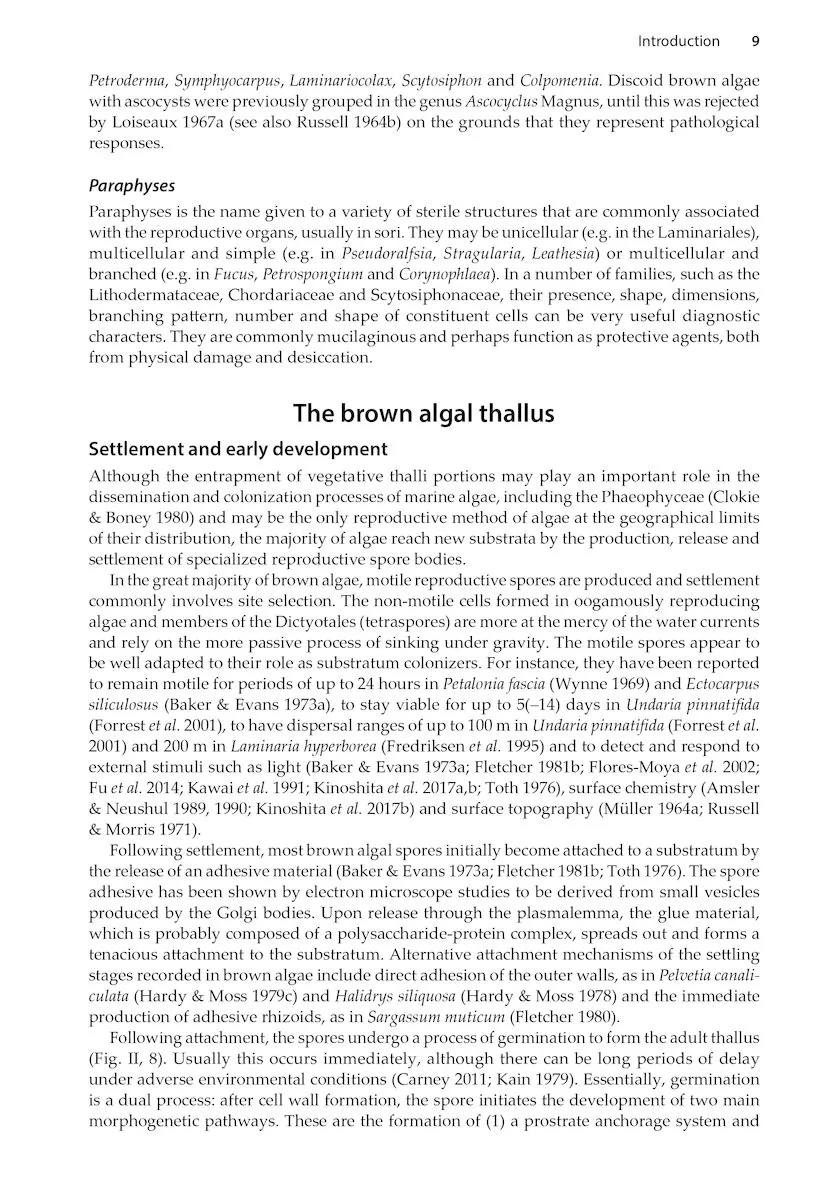 Brown Seaweeds (Phaeophyceae) of Britain and Ireland