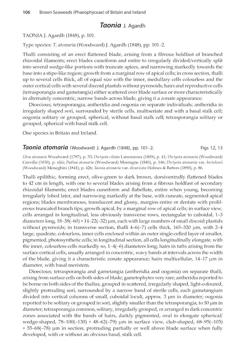 Brown Seaweeds (Phaeophyceae) of Britain and Ireland