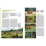 Begrazing in Nederlandse en Vlaamse natuurgebieden - Praktijk en achtergronden
