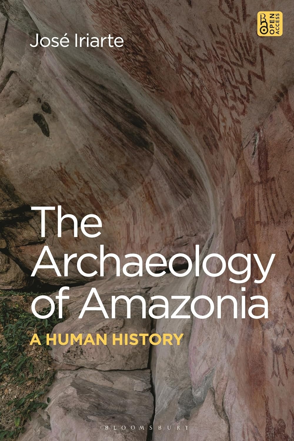 The Archaeology of Amazonia - A Human History