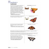 Veldgids Dagvlinders Compleet voor NW-Europa - 150 soorten - veldkenmerken