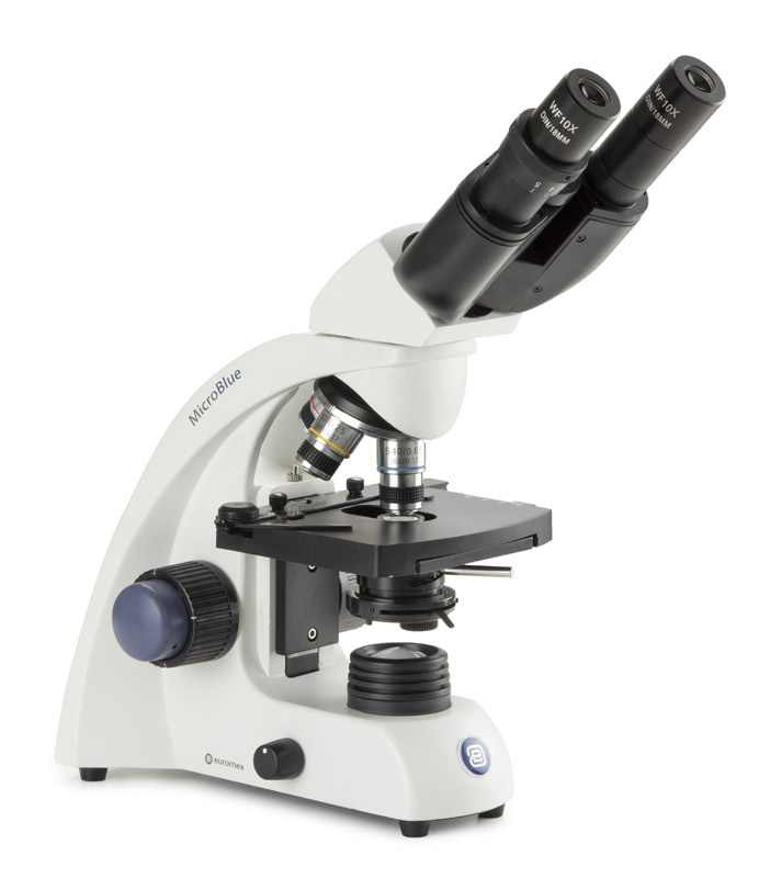 Euromex MicroBlue Binocular Microscope 40x/100x/400x/1000x