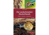 Die Landschnecken Deutschlands