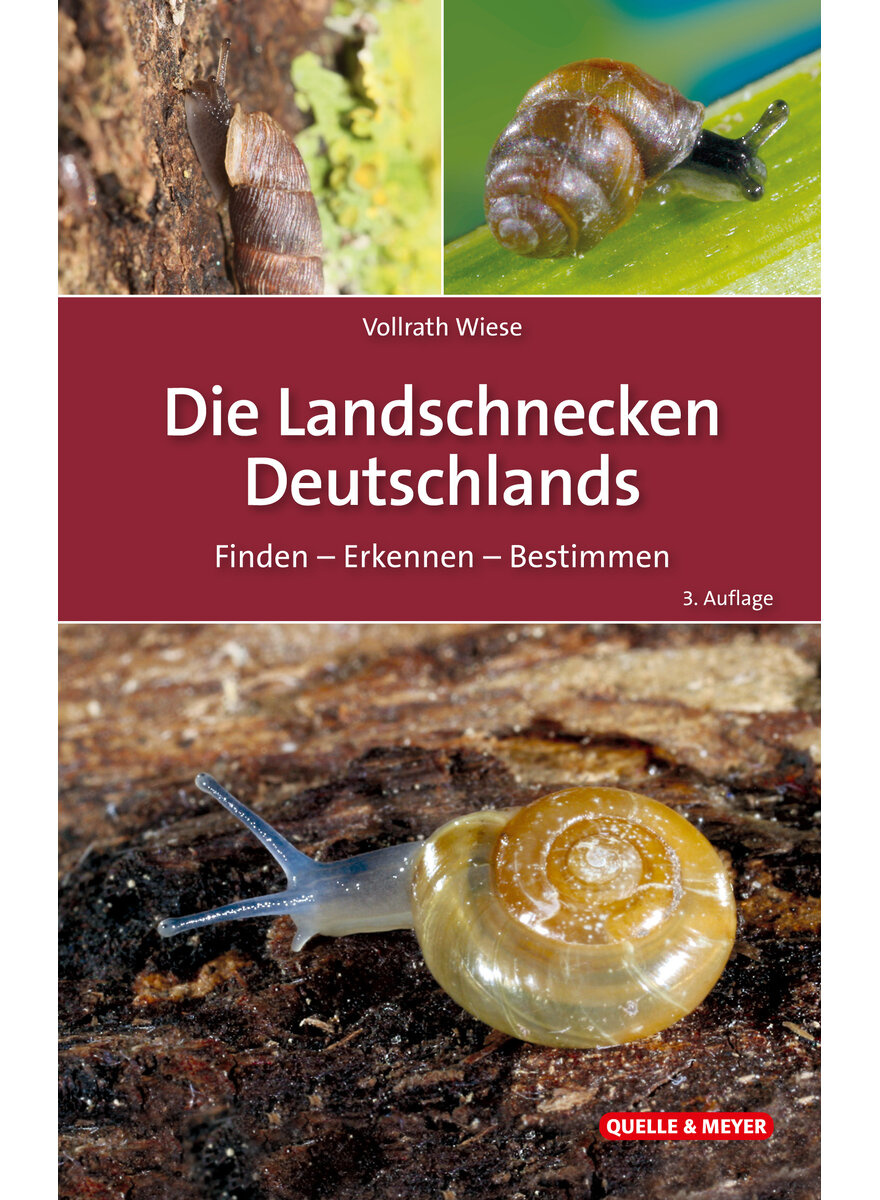 Die Landschnecken Deutschlands: Finden - Erkennen - Bestimmen