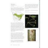 Smithsonian Trees of North America