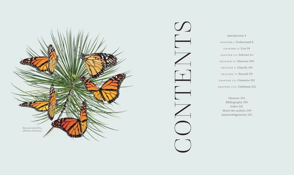 Insects - Discover the Science and Secrets Behind the World of Insects