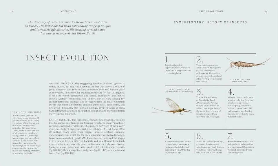 Insects - Discover the Science and Secrets Behind the World of Insects