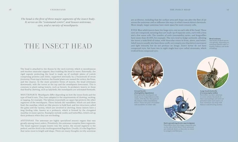 Insects - Discover the Science and Secrets Behind the World of Insects