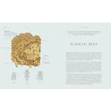 Insects - Discover the Science and Secrets Behind the World of Insects