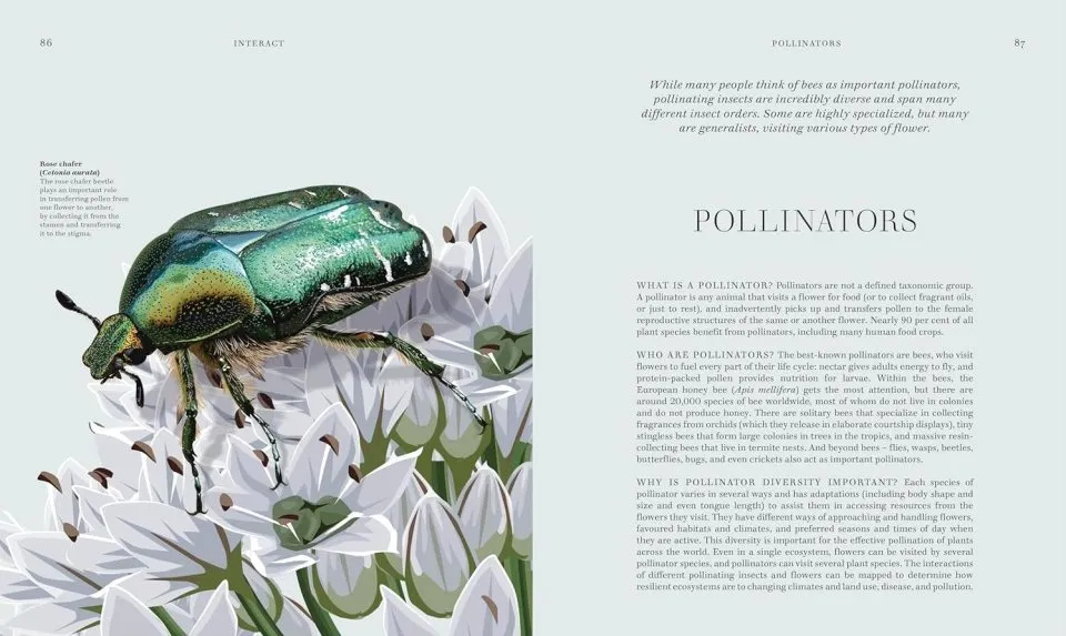 Insects - Discover the Science and Secrets Behind the World of Insects