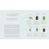 Insects - Discover the Science and Secrets Behind the World of Insects