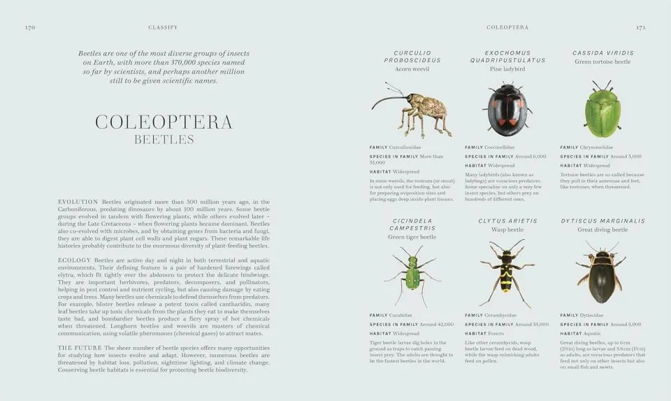 Insects - Discover the Science and Secrets Behind the World of Insects