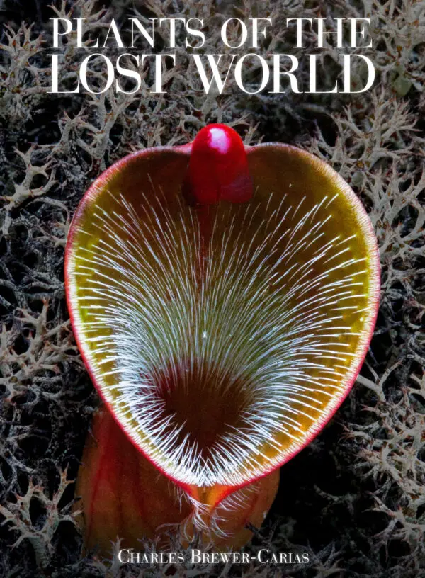 Plants of the Lost World