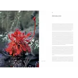 Plants of the Lost World