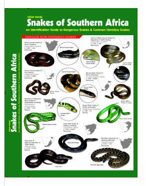Snakes of Southern Africa - An Identification Guide to Snakes of Southern Africa