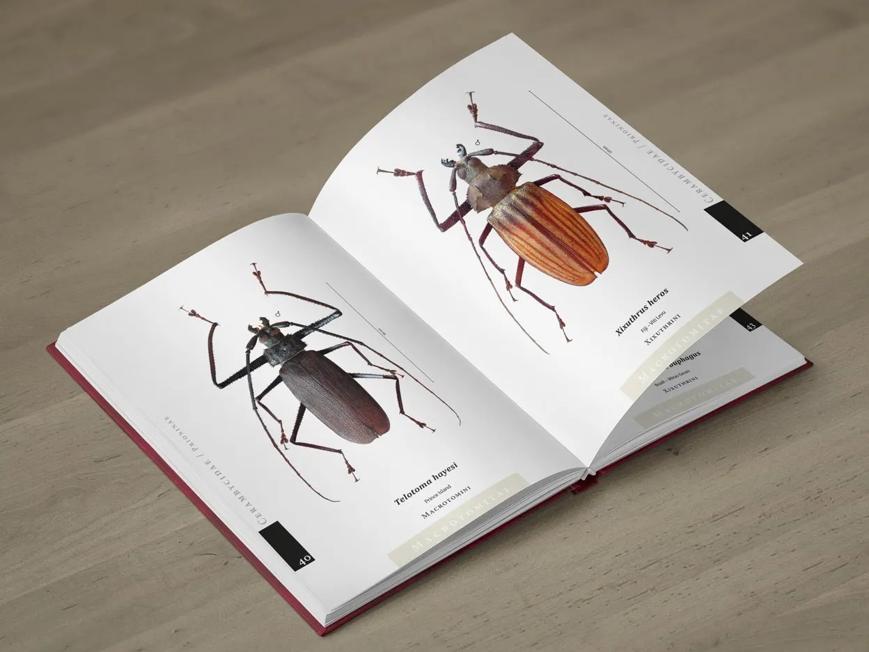 The Prionids of the World I - Illustrated catalogue of the Beetles