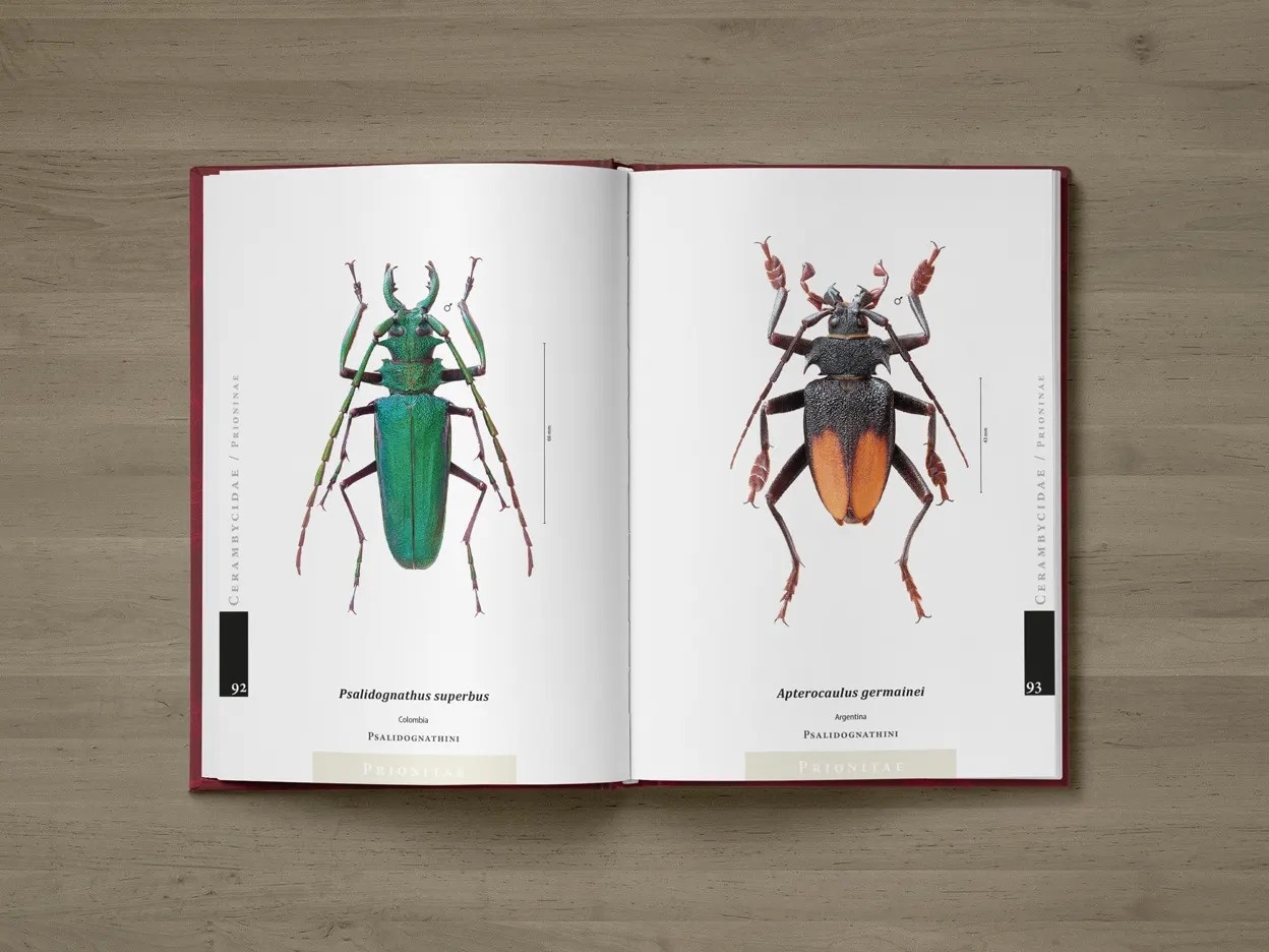 The Prionids of the World I - Illustrated catalogue of the Beetles