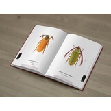 The Prionids of the World I - Illustrated catalogue of the Beetles