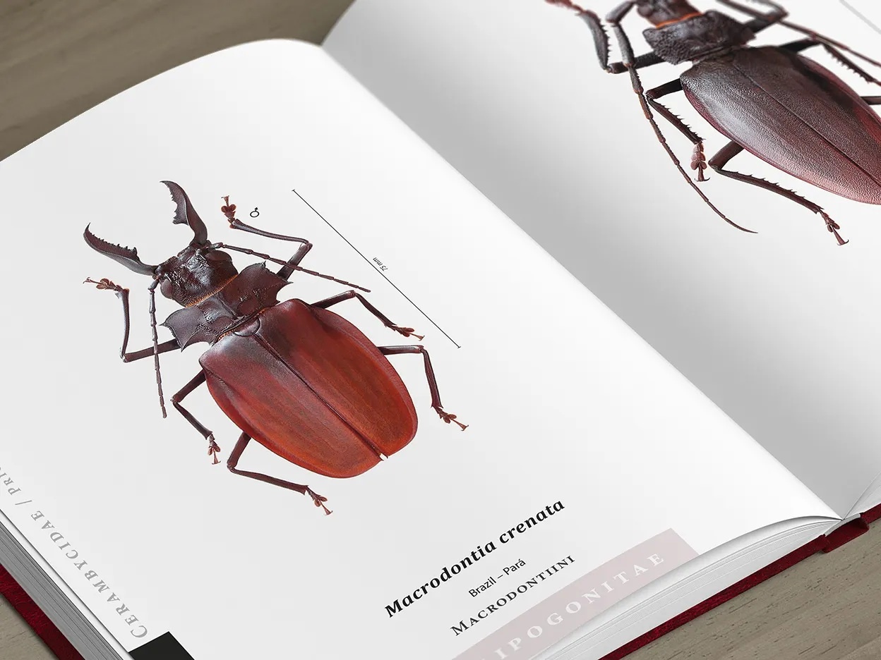 The Prionids of the World I - Illustrated catalogue of the Beetles