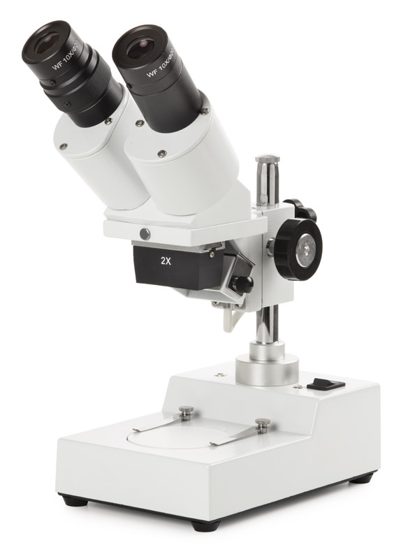Euromex AP-4 Binocular Stereo Microscope 20x
