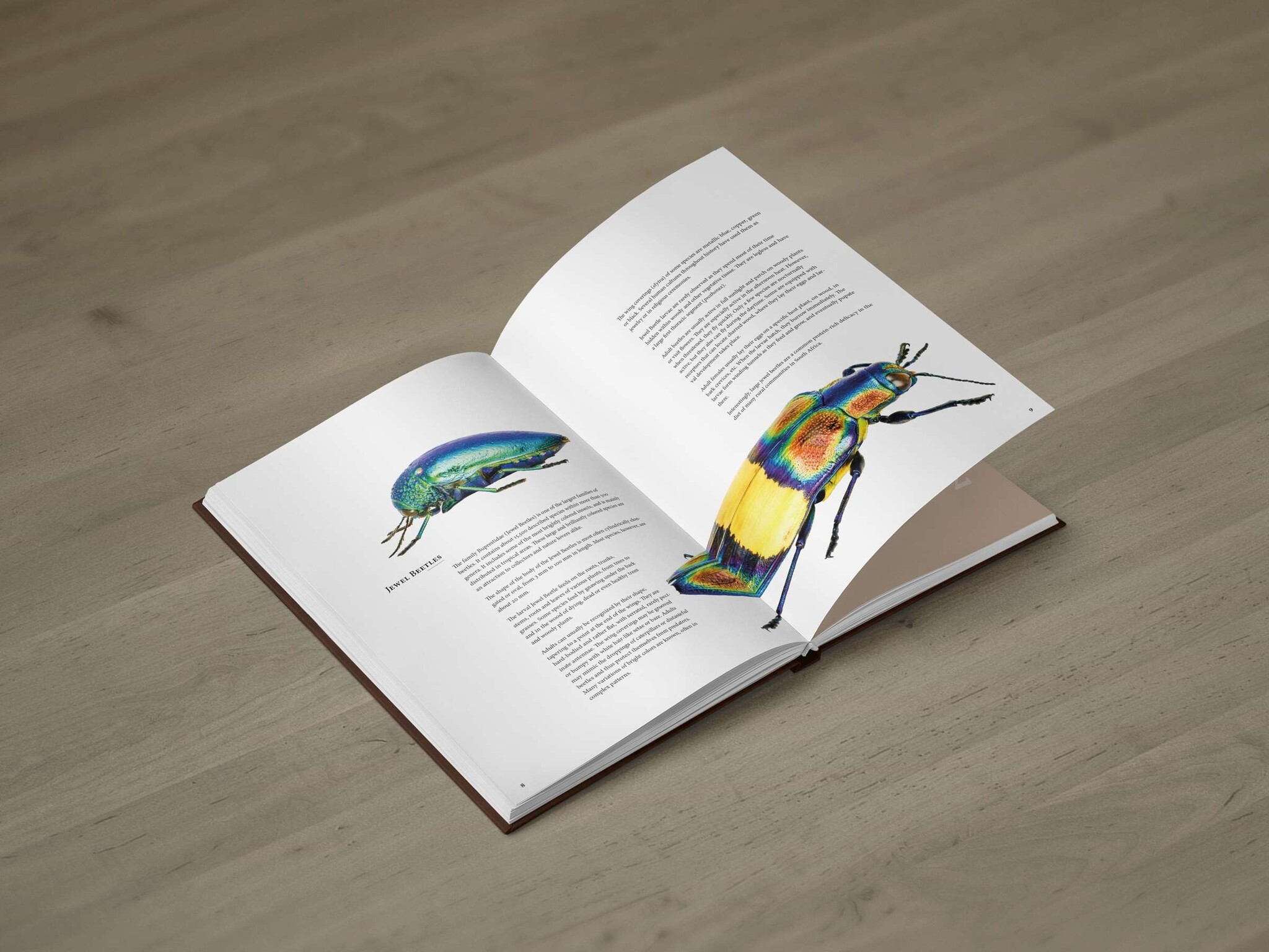 Jewel Beetles of the World - Illustrated guide to the Superfamily Buprestoidea