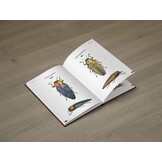 Jewel Beetles of the World - Illustrated guide to the Superfamily Buprestoidea