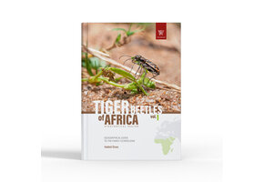 Tiger Beetles of Africa Vol. 1