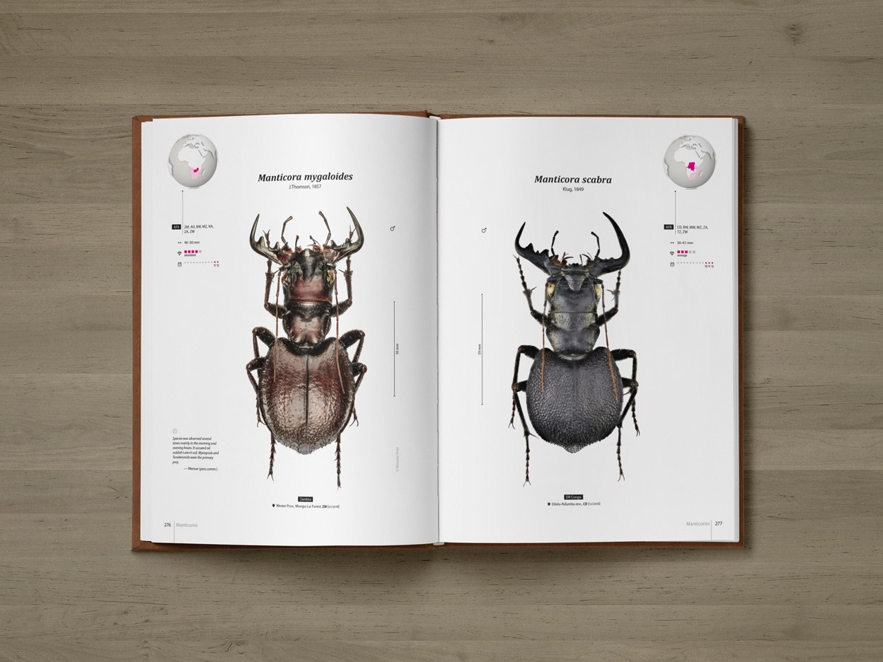 Tiger Beetles of Africa Vol. 1 - Geographical guide to the family Cicindelidae
