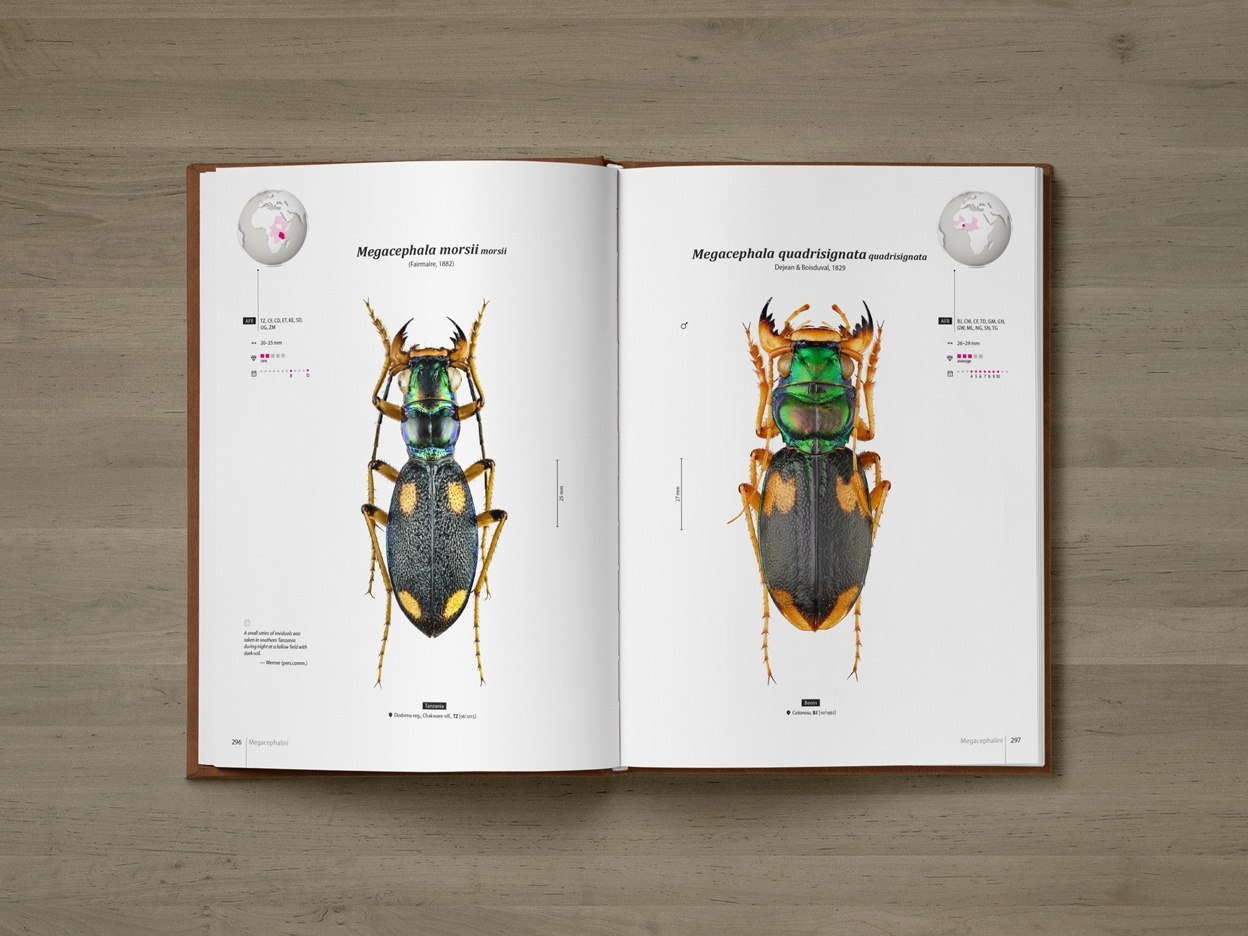 Tiger Beetles of Africa Vol. 1 - Geographical guide to the family Cicindelidae