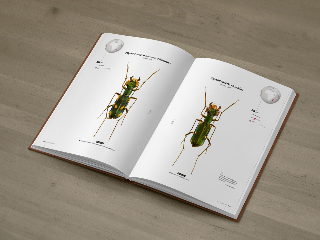 Tiger Beetles of Africa Vol. 1 - Geographical guide to the family Cicindelidae