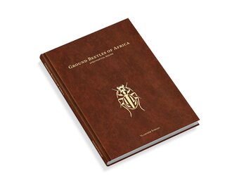 Ground Beetles of Africa