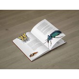 Ground Beetles of Africa - Afrotropical Region