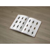 Ground Beetles of Africa - Afrotropical Region