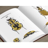 Ground Beetles of Africa - Afrotropical Region