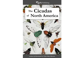 The Cicadas of North America