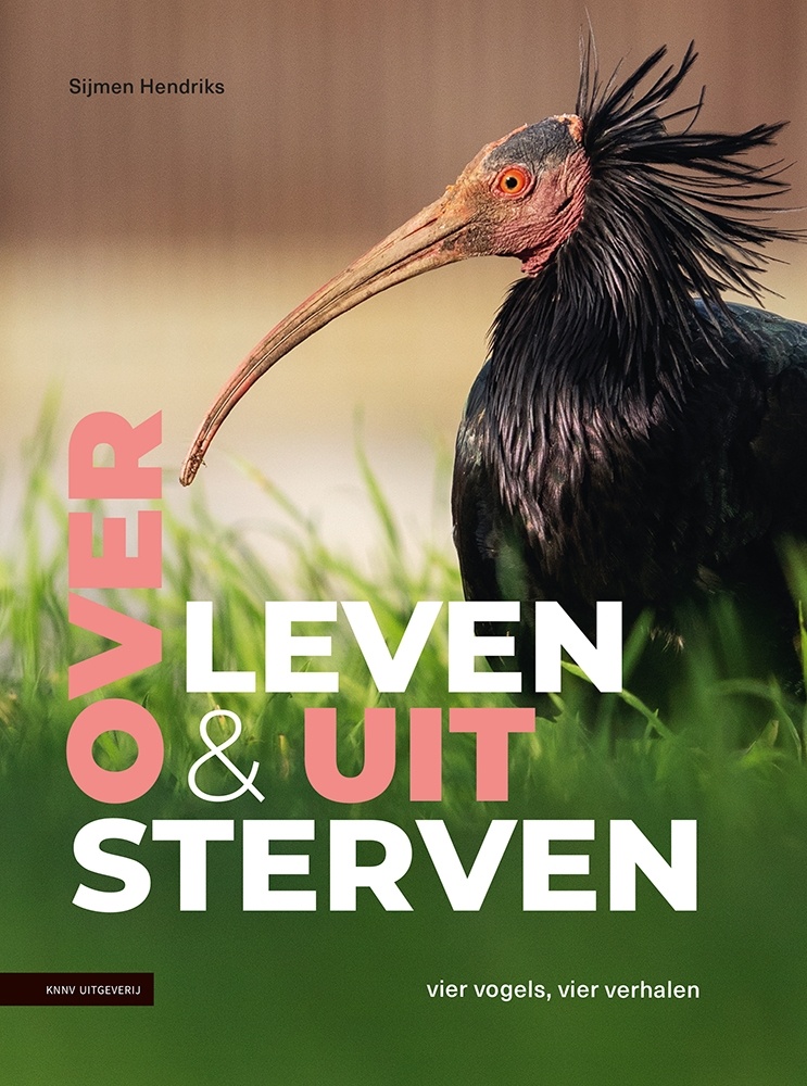 Over leven & uitsterven - Vier vogels, vier verhalen