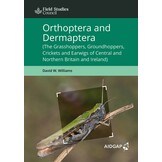Orthoptera and Dermaptera - The Grasshoppers, Groundhoppers, Crickets and Earwigs of Central and Northern Britain and Ireland