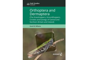 Orthoptera and Dermaptera