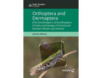 Orthoptera and Dermaptera