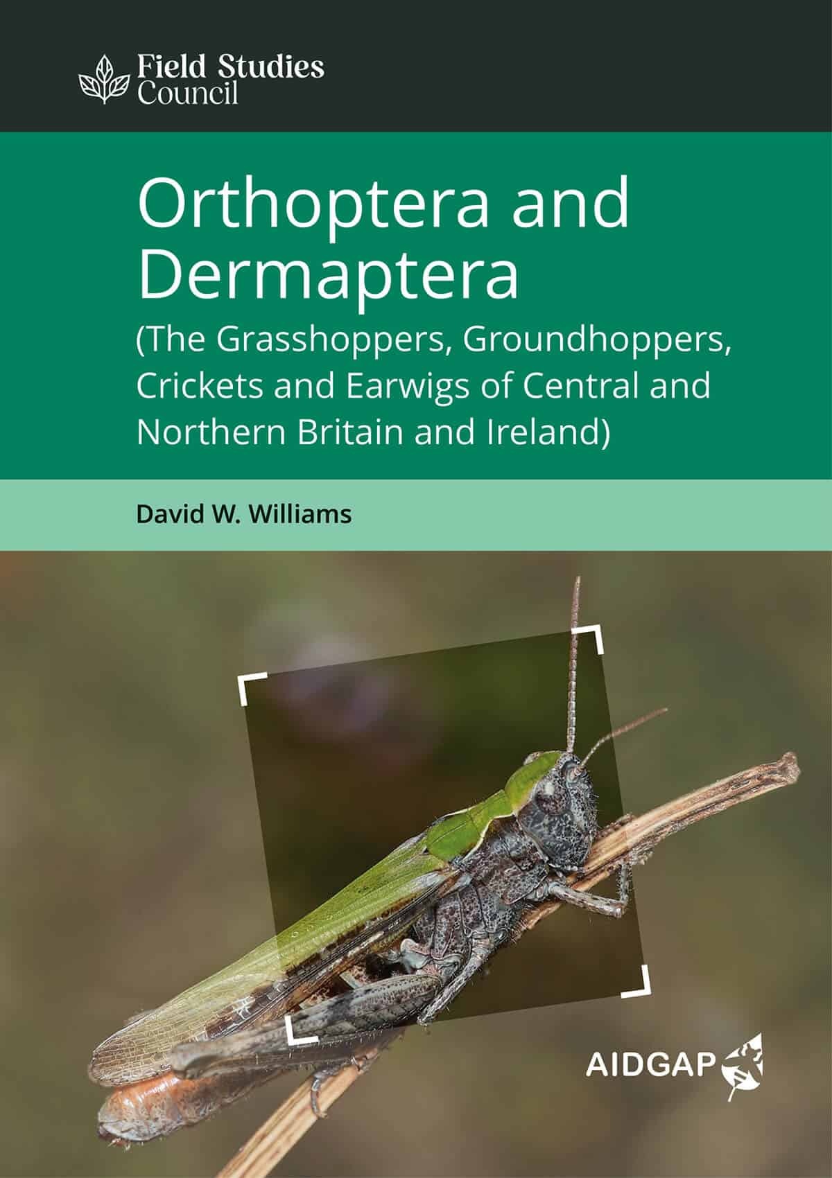 Orthoptera and Dermaptera - The Grasshoppers, Groundhoppers, Crickets and Earwigs of Central and Northern Britain and Ireland