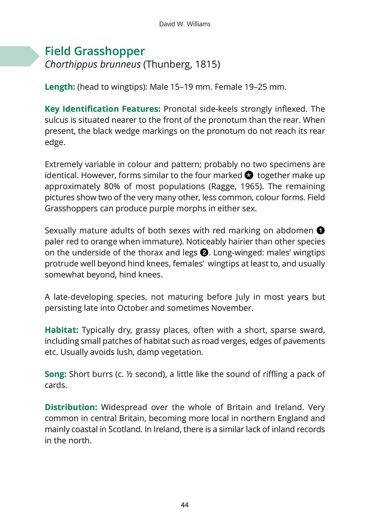 Orthoptera and Dermaptera - The Grasshoppers, Groundhoppers, Crickets and Earwigs of Central and Northern Britain and Ireland