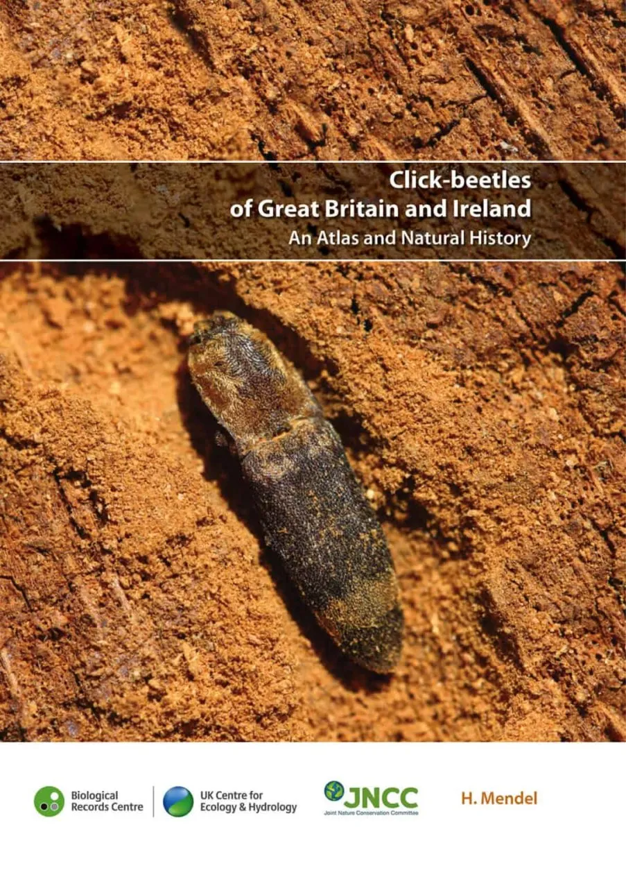 Click-beetles of Great Britain and Ireland - An Atlas and Natural History