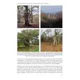 Click-beetles of Great Britain and Ireland - An Atlas and Natural History