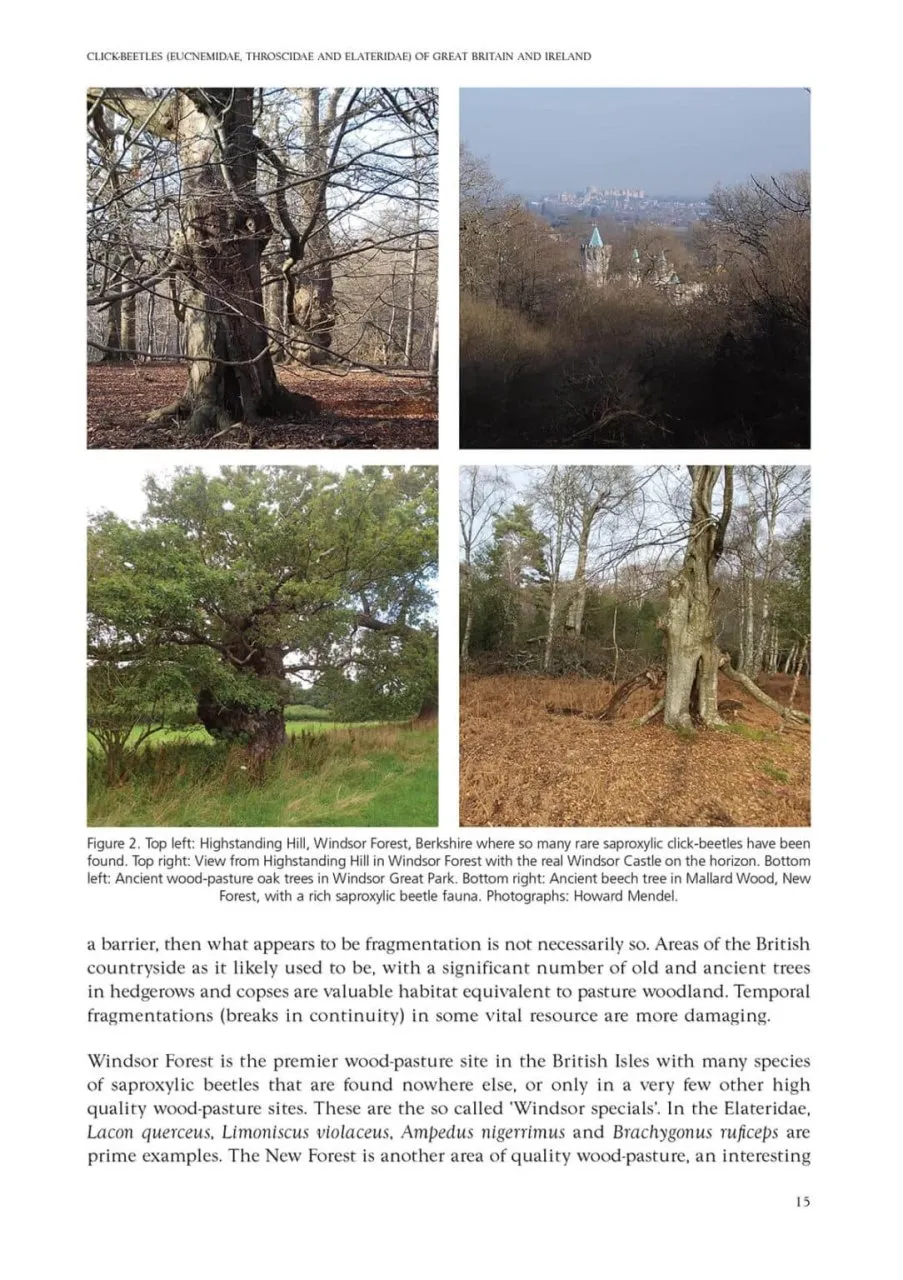 Click-beetles of Great Britain and Ireland - An Atlas and Natural History