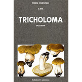Fungi Europaei, Volume 3 - Tricholoma