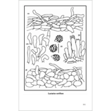 Fungi Europaei, Volume 7 - Lactarius Pers.
