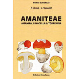 Fungi Europaei, Volume 9 - Amanita s.l.